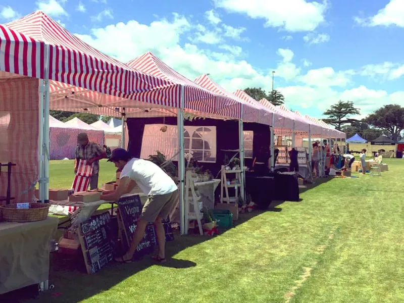 tauranga christmas in the park03