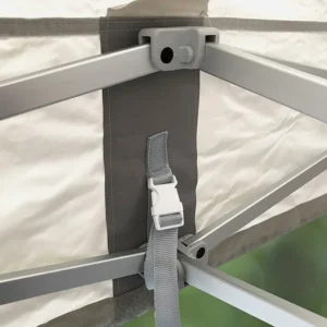 Buckles