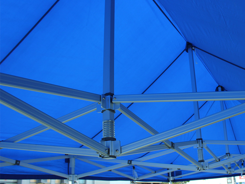 canopy-1