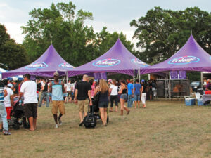 a large group of pavilion marquees image