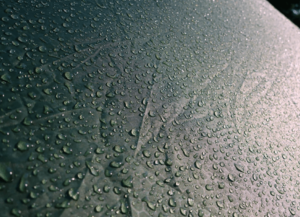 gazebos in raining