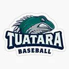 Tuatara baseball sports club logo