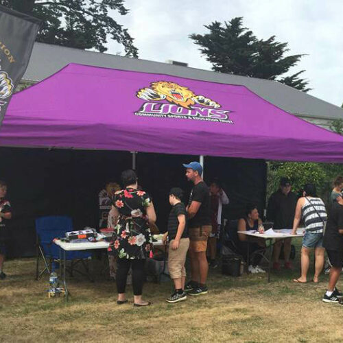 Lions rugby club sports gazebo - purple