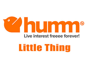 humm little thing available